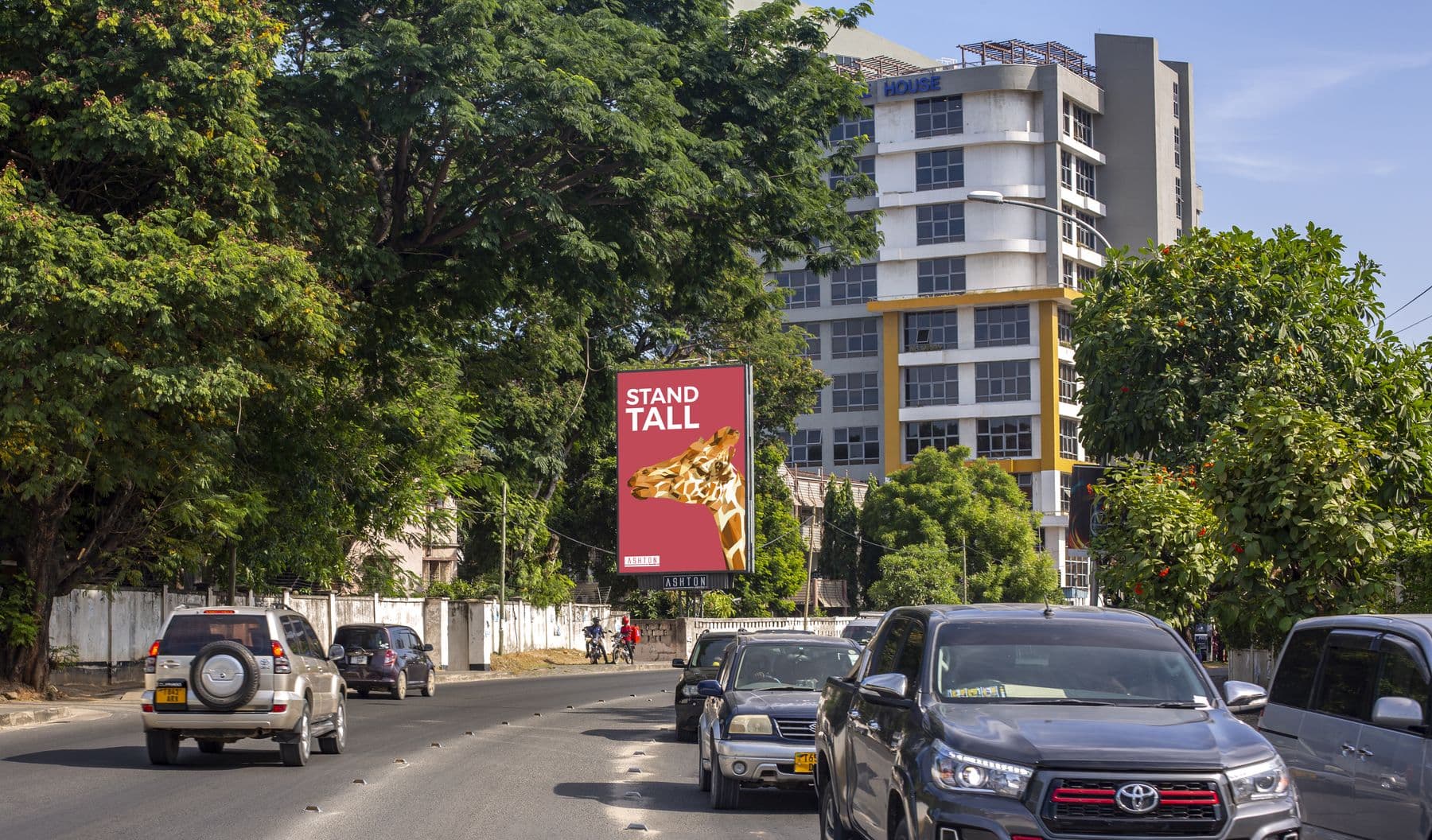 Static billboards in Dar es Salaam and across Tanzania